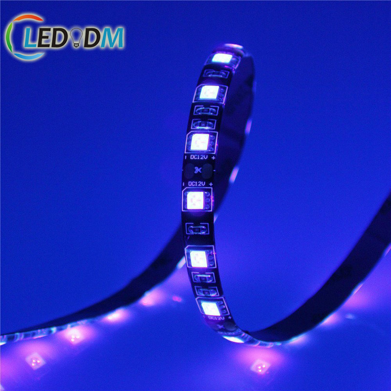 UV Non-Waterproof DC12V 24V Blacklight 390nm to 400nm 14w/m SMD5050 3838 60LEDs/m UV UVC LED Strip