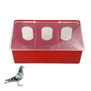 Suspendu double automatique poulet en gros en plastique Pigeon mangeoire buveur 3 trous mangeoire à oiseaux boîte