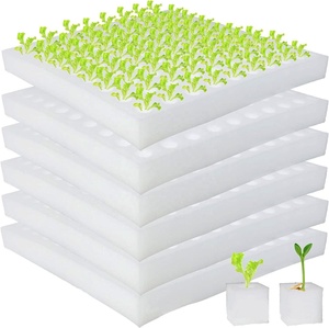 100 löcher hydroponik pflanzschwamm bodenlose gemüseanbaugeräte quadratische grotte pflanzschwamm pflanzblock - Product Image 3