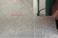Paneles de Techo de Policarbonato Ecológicos, Reciclables, Transparentes de 3 mm, No Tóxicos, para Aislamiento de Edificios, Láminas de Policarbonato con Relieve