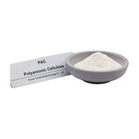 CMC LV HV PAC LV HV de qualité pétrolière, épaississant pour fluide de fracturation et support de propellant, suspension pour fluide de completage