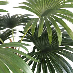 <span class=keywords><strong>Palmier</strong></span> artificiel de 90 cm à feuilles <span class=keywords><strong>en</strong></span> <span class=keywords><strong>éventail</strong></span>, vente <span class=keywords><strong>en</strong></span> gros, <span class=keywords><strong>d</strong></span>écoration <span class=keywords><strong>d</strong></span>'intérieur, <span class=keywords><strong>en</strong></span> plastique durable, simulation moderne, arbre synthétique - Product Image 3