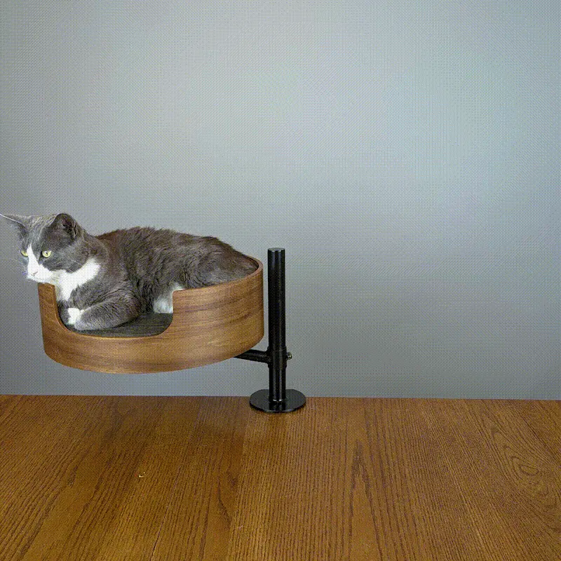 Pet kedi ağacı sepeti asılı ev tırmanma kol ofis kullanımı üzerinde masaüstü ev hayvanı ürünü çerçeve