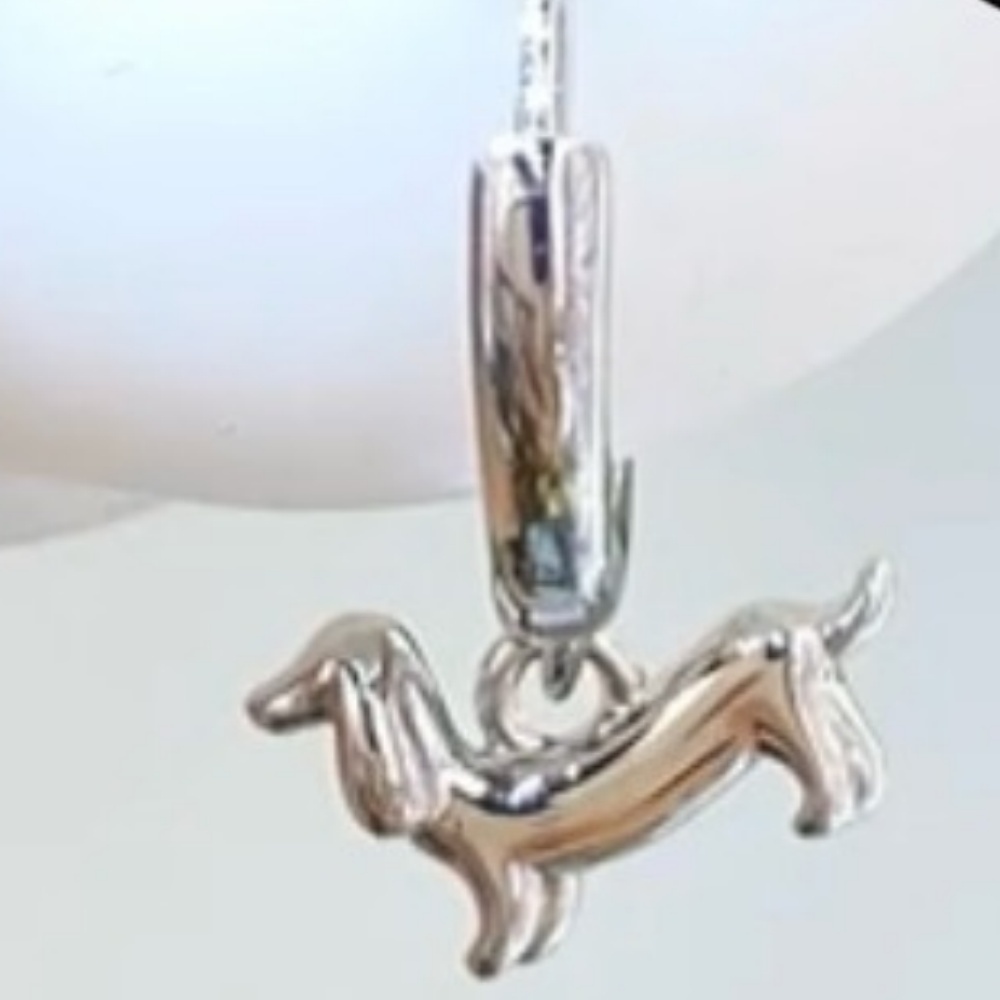 Clip d'oreille unique pour teckel