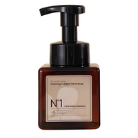 Désinfectant Moussant pour les Mains en Gros avec Pompe, Sans Alcool, Parfum Thé Vert, pour Usage Domestique et Hôtelier, Fournisseur en Vrac
