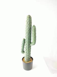 <span class=keywords><strong>Amazon</strong></span> Vente Chaude Nord UE Plantes de Verdure <span class=keywords><strong>Cactus</strong></span> <span class=keywords><strong>Artificiel</strong></span> 100cm - Product Image 2