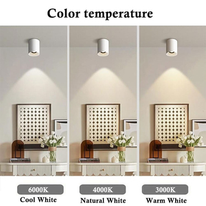 Downlight encastré moderne à finition blanche, CRI90, <span class=keywords><strong>IP65</strong></span>, 0-10V, <span class=keywords><strong>dimmable</strong></span> DALI, 24W, 4000K, pour hôtel, appartement, projet - Product Image 5