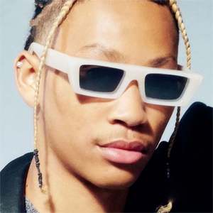 Gafas de Sol Personalizadas de Moda Retro 2022 para Mujer, Gafas de Sol Cuadradas Pequeñas con Protección UV400 para Hombre - Product Image 1