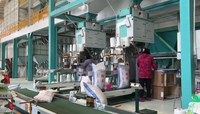 Balance d'emballage semi-automatique, pesage électronique 10-50 kg |   Machine d'emballage de sachets de sucre et de riz |   Haute productivité 500-720