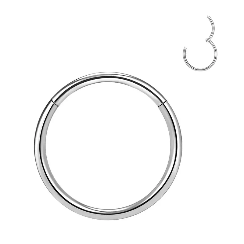 Wholesale 316L Stainless Steel Circle Hinged Segment Rings Ear Studs Body Piercing Jewelry