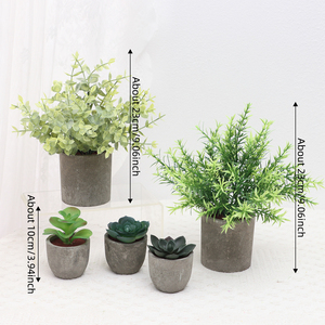 Lot de 5 plantes artificielles Greatflower durables pour <span class=keywords><strong>intérieur</strong></span> : <span class=keywords><strong>Eucalyptus</strong></span>, Romarin, Succulentes en <span class=keywords><strong>pot</strong></span> en papier pour décoration de bureau et de maison - Product Image 6