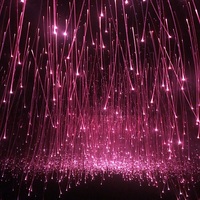 Cable de Fibra Óptica de Aluminio de 0.75mm, 900 Piezas, 3m de Largo, con Iluminación en el Extremo, con Clasificación IP67 para Decoración de Festivales al Aire Libre