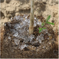 Polymère super absorbant SAP Méthode de mélange du sol conçue pour l'agriculture et la conservation de l'eau dans le sol