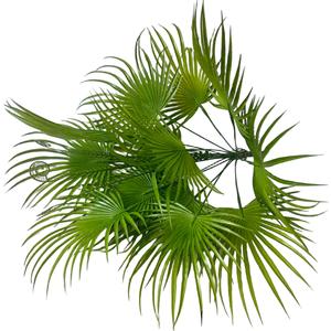 Offre Spéciale Kwai <span class=keywords><strong>palmier</strong></span> plante touche réelle grandes feuilles bonsaï arbre Tropical artificiel <span class=keywords><strong>pour</strong></span> la décoration intérieure arbustes en <span class=keywords><strong>pot</strong></span> décor de mariage - Product Image 5