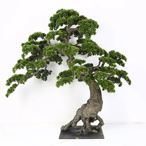 독특한 인공 ficus microcarpa banyan 나무 분재 식물 나무 아름다움 소나무