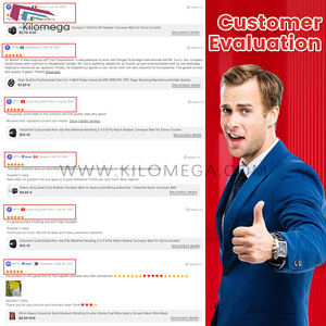 Taş Kırıcılar İçin Endüstriyel Özelleştirilebilir Ayarlanabilir Yeni Kaymaz Düz Malzeme Taşıma 3-6 Katlı Polyester Kauçuk Konveyör Bant - Product Image 3
