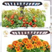 Jardinière hydroponique intelligente d'intérieur pour plantes, fleurs et succulentes ; culture sans terre, système breveté de croissance des plantes