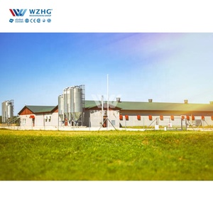 Tất cả các tòa nhà thép xây dựng kim loại xây dựng khu dân cư 60x100 40x50x100 để bán Khung nhà cung cấp cho trang trại gà - Product Image 2