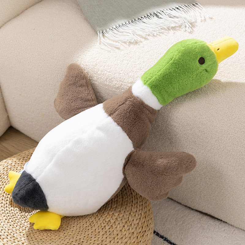 canard colvert