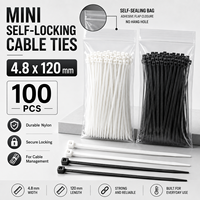 Attaches-câbles autobloquantes mini 4,8x120mm, 100 pièces, noir et blanc, en nylon, à forte adhérence, pour l'organisation de fils et cordons, sangles de fixation, lot