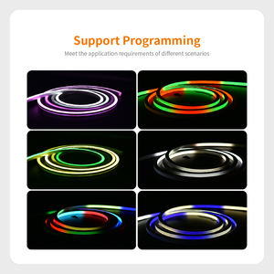 New Design for <strong>Led</strong> Digital Silicone IP67 SPI <strong>Rgb</strong> IC <strong>WS2811</strong> Neon Strip for Festival <strong>Decoration</strong> 10mm 10mm - Product Image 5