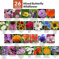 26-Mix annuel vivace sauvage fleur jardin sac de truie paquet plante Kit attirer les papillons oiseaux abeilles avec des fleurs en vrac