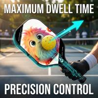 Raquette de pickleball haute performance conforme USAPA avec noyau en mousse EPP de 16 mm et contrôle de torsion intégré – Solutions de vente en gros
