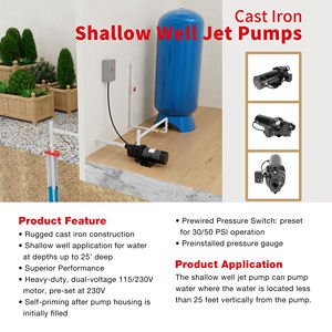 Chariot d'auto-amorçage <span class=keywords><strong>de</strong></span> Performance supérieure <span class=keywords><strong>pompe</strong></span> à Jet <span class=keywords><strong>de</strong></span> <span class=keywords><strong>puits</strong></span> peu profond en fer <span class=keywords><strong>avec</strong></span> pressographe pré-câblé - Product Image 2