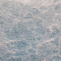 Non-tissé bicomposant en PET et PP à longue durée de vie pour matériaux de construction, avec surface lisse B40WC