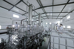 Panax <span class=keywords><strong>Ginseng</strong></span> Ekstresi Tozu Ginsenosidler Tozu %5 %80 Hammadde <span class=keywords><strong>Ginseng</strong></span> Kökü Ekstresi Tozu - Product Image 6