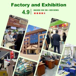 Prezzo all'ingrosso cinese azienda di tè consegna Oolong bustina di tè prezzo di fabbrica imballaggio indipendente - Product Image 6