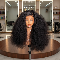 Perruque Pixie Bouclée en Cheveux Humains Brésiliens, Sans Colle, Vente en Gros, Cheveux Naturels avec Perruques Frontales HD Full Lace pour Femmes