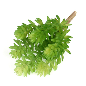 Succulenta Artificiale in Plastica Multicolore a Punte, Finta Sedum per Mini Vasi, Terrari e Decorazioni da Tavolo per Interni - Product Image 1