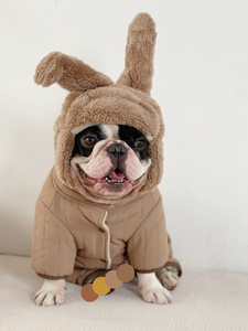 Manteau d'hiver en coton pour animaux de compagnie <span class=keywords><strong>Bouledogue</strong></span> français manteau épaissi à quatre pattes en coton rembourré <span class=keywords><strong>Bully</strong></span> Dog Schnauzer teddy dog Shiba I - Product Image 6
