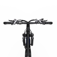 Bicicleta Eléctrica de Montaña para Adultos C29-K, Almacén en la UE, Compatible con OEM/ODM, Motor Trasero sin Escobillas, Doble Batería de Litio 15AH+22.5AH 21