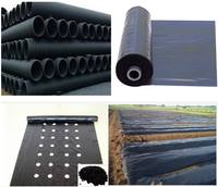 Fournisseur chinois de colorants plastiques, masterbatch noir de carbone à haute concentration, support PP PE HDPE ABS pour produits plastiques