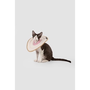 Soft Donut Pet Elizabeth Collar Comfortable Cat Recovery Cone And Adjustable <b>Dog</b> Protective Neck Collar For Pets - Product Image 3
