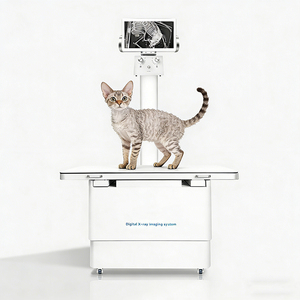 Máquina <span class=keywords><strong>de</strong></span> Rayos X Digital Dinámica Veterinaria <span class=keywords><strong>de</strong></span> 32kW, Sistema <span class=keywords><strong>de</strong></span> Brazo en C Completo para Perros, Veterinarios, Clase II, Certificación CE, 110V/220V 1 - Product Image 1
