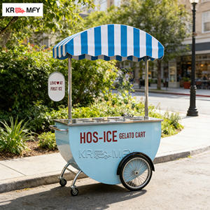 Experiencia Definitiva de Helado Suave: Triciclo Eléctrico de Servicio de Alimentos con Motor de Cubo de Rueda sin Escobillas de Fibra de Vidrio y Batería de Litio - Product Image 1