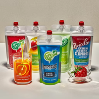 Pochettes souples PE de qualité alimentaire 500-1000 ml avec bec verseur, étanches, thermoscellables, recyclables, personnalisables pour emballage de liquides, gels, lotions et masques faciaux