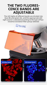 연구 및 MSD-S810 전문 연구 레벨 2 밴드 형광 현미경 - Product Image 3