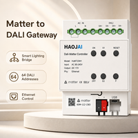 Passerelle Matter Hub fiable Tuya Zigbee Thread filaire DALI pour la maison intelligente avec système d'automatisation d'éclairage intelligent
