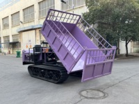 Mini-dumper chenillé diesel hydraulique 5T avec caméra arrière, direction à gauche, neuf, à vendre