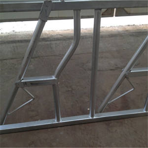 Hot Dip galvanizado Jersey vaca Headlock usado ganado Feed Headlock precios en <span class=keywords><strong>la</strong></span> India para <span class=keywords><strong>la</strong></span> <span class=keywords><strong>venta</strong></span> 6 metros de largo de 8 vacas Lock - Product Image 5