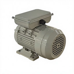 Moteur électrique à induction monophasé série MY 0,18 kW 2P, boîtier en aluminium, protection IP54/IP44, efficacité IE2, 220 V pour pompes - Product Image 2