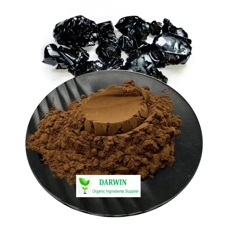 Darwin 100 % Reiner Shilajit-Extrakt Pulver 50 % Fulvinsäure Shilajit-Extrakt