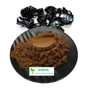 Darwin 100% Pure <span class=keywords><strong>Shilajit</strong></span> Extracto en polvo 50% Fulvic Acid <span class=keywords><strong>Shilajit</strong></span> Extracto - Product Image 1
