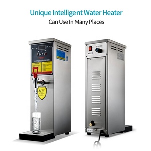 Calentador eléctrico <span class=keywords><strong>de</strong></span> agua caliente para cafetería, máquina <span class=keywords><strong>de</strong></span> caldera <span class=keywords><strong>de</strong></span> té <span class=keywords><strong>de</strong></span> 2KW, 30L/hora, salida <span class=keywords><strong>de</strong></span> 10L, para tienda <span class=keywords><strong>de</strong></span> té y leche - Product Image 3