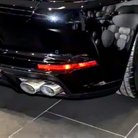Réflecteur de pare-chocs arrière OE pour Porsche Panamera 2024 2025 2026 976