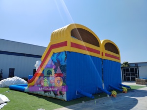Tobogán Acuático Inflable Comercial con Diseño de Mundo Submarino, Doble Carril y Decoración de Amigos del Océano para Parques Acuáticos Infantiles de Verano - Product Image 6